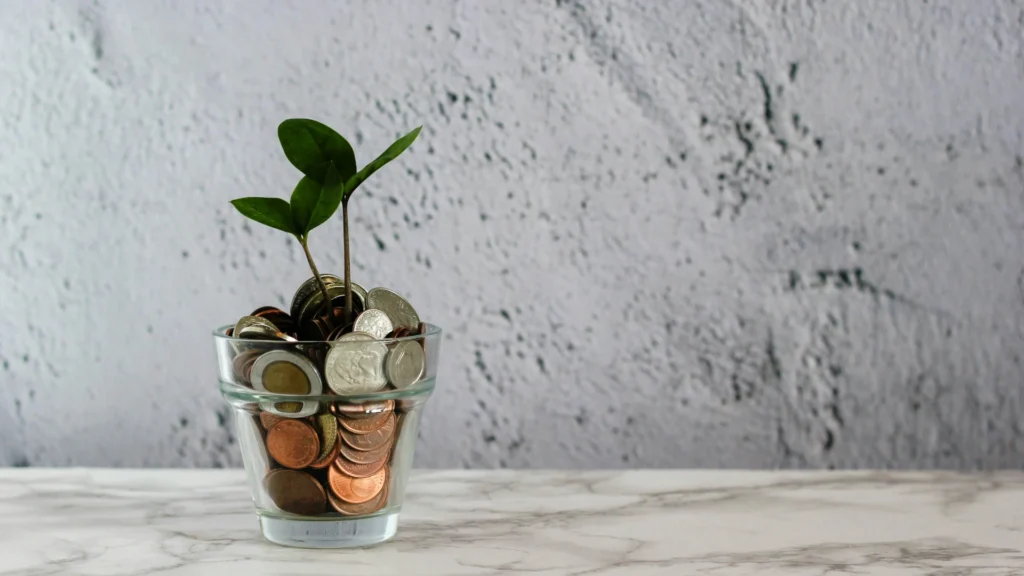 Ein mit Geld gefülltes Glas steht vor einer rauh verputzten Wand. Aus ihm wächst ein Keimling.