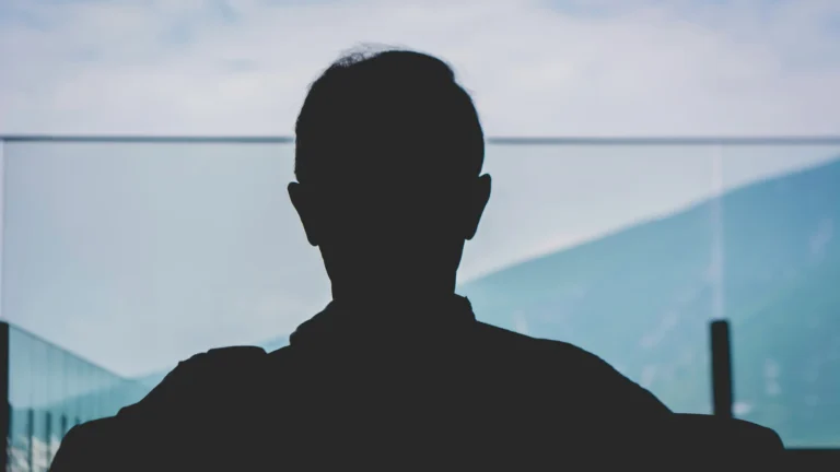 Der Schattenriss eines Mannes von hinten, der in eine nebelverhangene LAndschaft blickt.