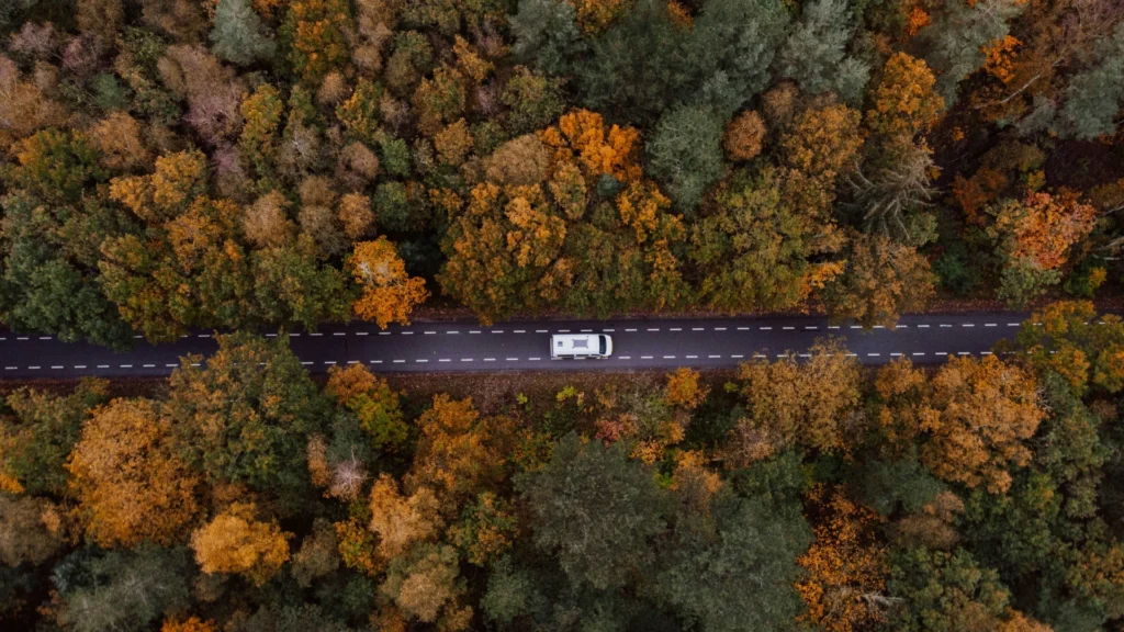 Das Bild zeigt aus der Vogelperspektive ein weißes Wohnmobil, das auf einer schmalen Straße durch einen Herbstwald fährt.