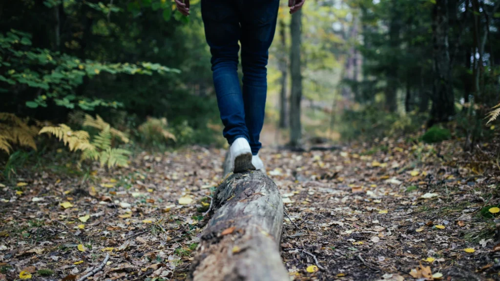 Eine Person in Blue Jeans balanciert auf einem Baumstamm, der auf dem Waldboden liegt.