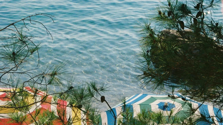 Durch Pinienzweige sind bunte Sonnenschirme am Wasser zu sehen.